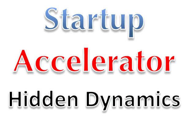 Why do startup accelerators get into trouble?